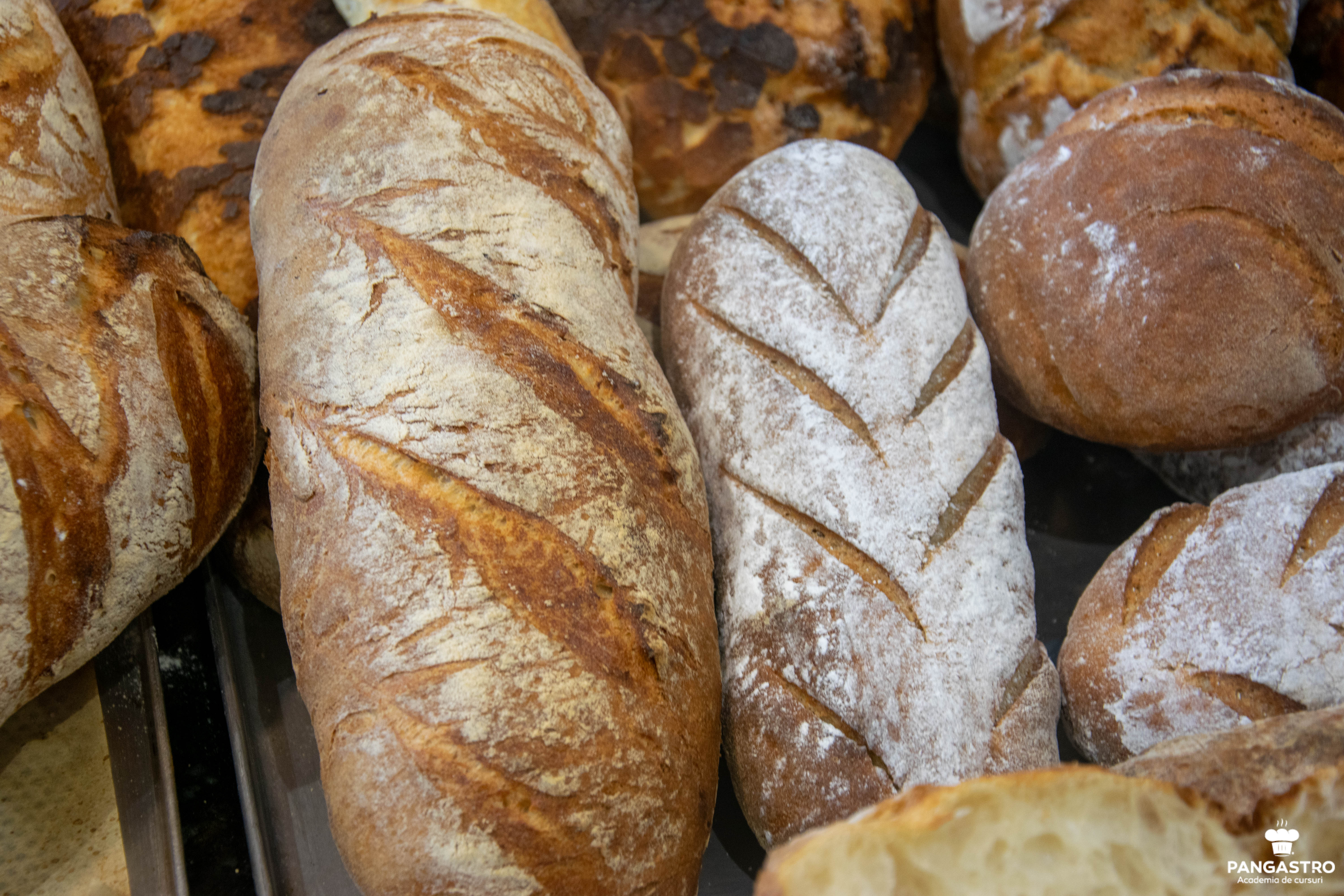 Odorheiu Secuiesc / Brutăria artizanală: de la frământare la coacere